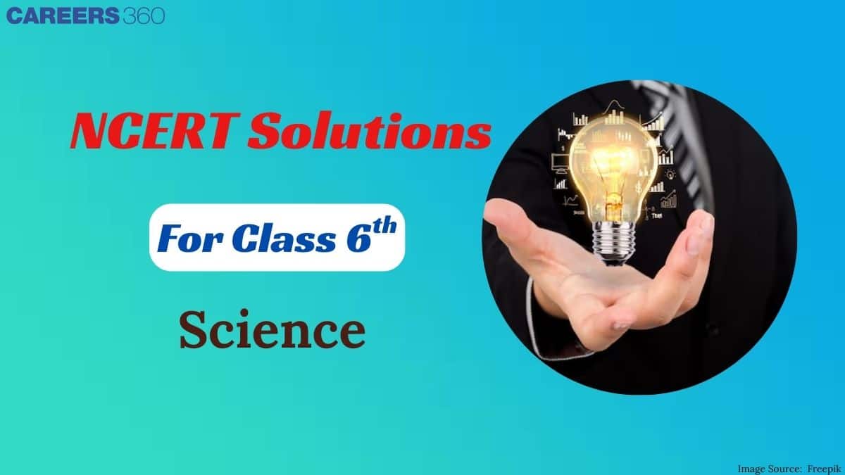 NCERT Solutions for Class 6 Science (Updated 2025-26) – Chapter-wise PDF